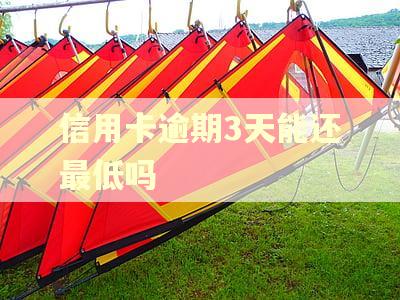 信用卡逾期3天能还最低吗