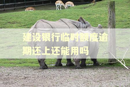 建设银行临时额度逾期还上还能用吗