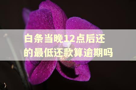 白条当晚12点后还的最低还款算逾期吗