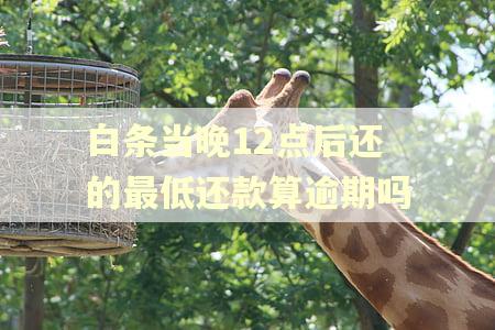 白条当晚12点后还的最低还款算逾期吗