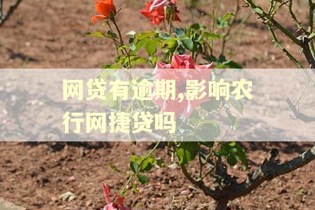 网贷有逾期,影响农行网捷贷吗 网贷有逾期,影响农行网捷贷吗
