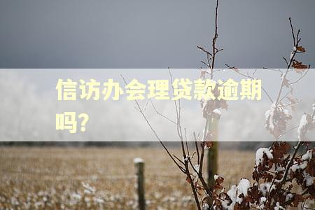 信访办会理贷款逾期吗？