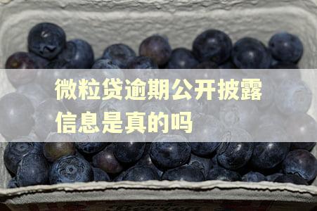 微粒贷逾期公开披露信息是真的吗