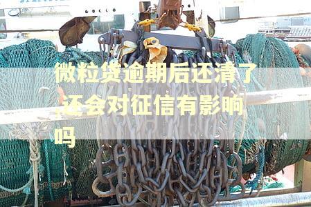 微粒贷逾期后还清了,还会对征信有影响吗