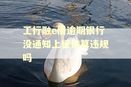 工行融e借逾期银行没通知上征信算违规吗