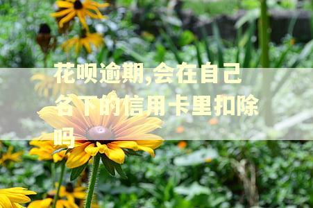 花呗逾期,会在自己名下的信用卡里扣除吗