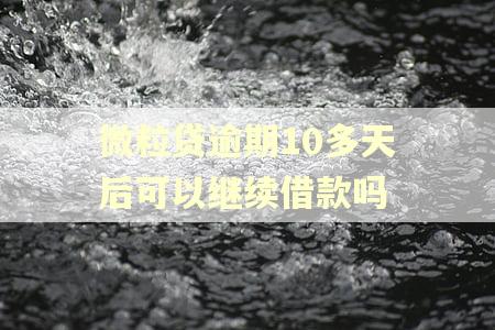 微粒贷逾期10多天后可以继续借款吗