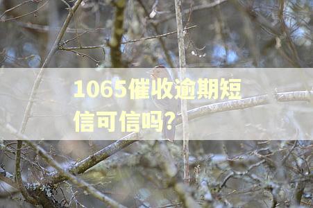 1065催收逾期短信可信吗?