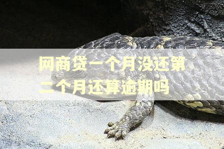 网商贷一个月没还第二个月还算逾期吗