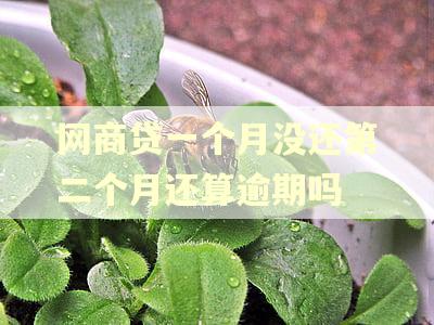 网商贷一个月没还第二个月还算逾期吗