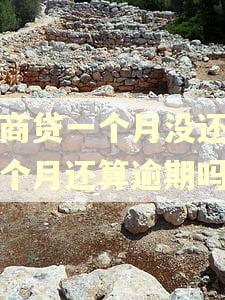 网商贷一个月没还第二个月还算逾期吗