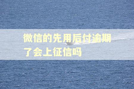 微信的先用后付逾期了会上征信吗