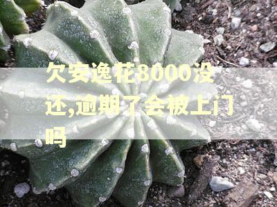欠安逸花8000没还,逾期了会被上门吗