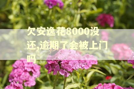 欠安逸花8000没还,逾期了会被上门吗 欠安逸花8000没还,逾期了会被上门吗