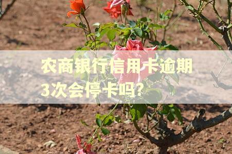 农商银行信用卡逾期3次会停卡吗?