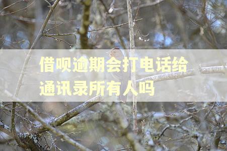 借呗逾期会打电话给通讯录所有人吗