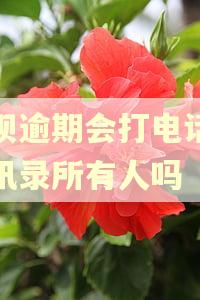 借呗逾期会打电话给通讯录所有人吗