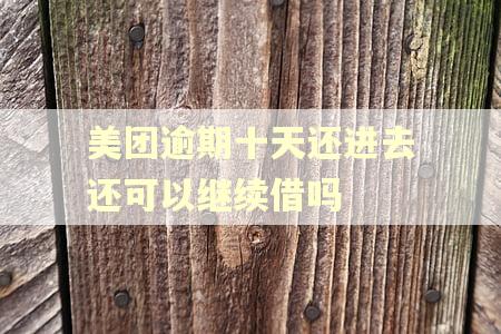 美团逾期十天还进去还可以继续借吗