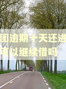 美团逾期十天还进去还可以继续借吗