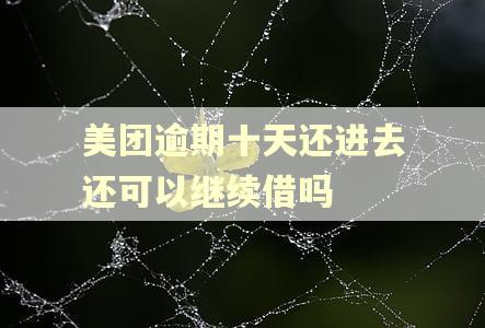 美团逾期十天还进去还可以继续借吗