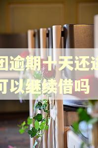 美团逾期十天还进去还可以继续借吗 美团逾期十天还进去还可以继续借吗