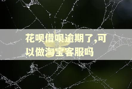 花呗借呗逾期了,可以做淘宝客服吗