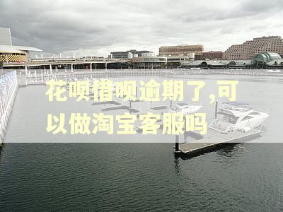 花呗借呗逾期了,可以做淘宝客服吗