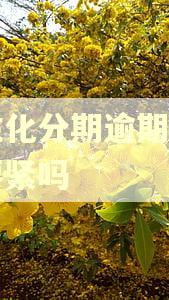 个性化分期逾期了一天要紧吗