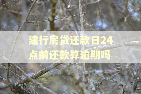 建行房贷还款日24点前还款算逾期吗