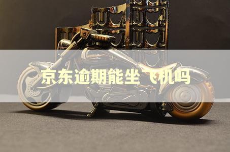 京东逾期能坐飞机吗