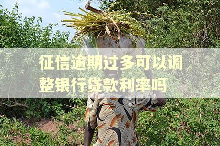 征信逾期过多可以调整银行贷款利率吗