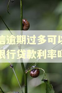 征信逾期过多可以调整银行贷款利率吗
