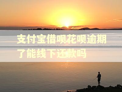 支付宝借呗花呗逾期了能线下还款吗