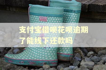 支付宝借呗花呗逾期了能线下还款吗