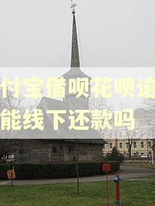 支付宝借呗花呗逾期了能线下还款吗 支付宝借呗花呗逾期了能线下还款吗