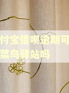 支付宝借呗逾期可以开菜鸟驿站吗