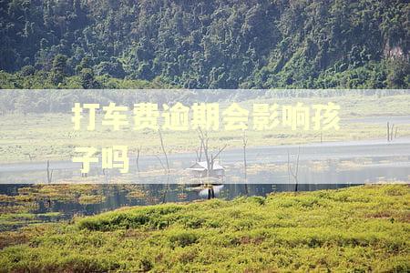 打车费逾期会影响孩子吗