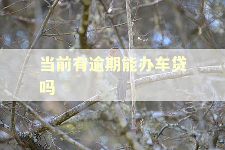 当前有逾期能办车贷吗