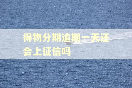 得物分期逾期一天还会上征信吗 得物分期逾期一天还会上征信吗