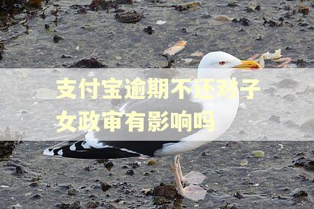 支付宝逾期不还对子女政审有影响吗