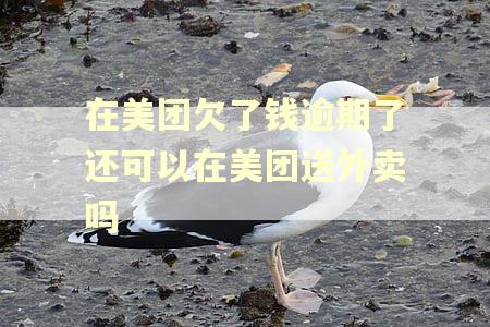 在美团欠了钱逾期了还可以在美团送外卖吗