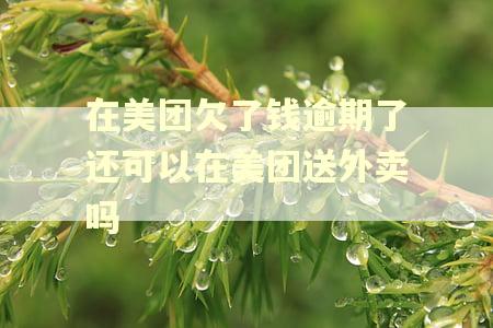 在美团欠了钱逾期了还可以在美团送外卖吗