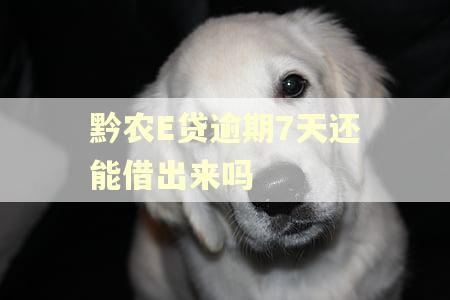黔农E贷逾期7天还能借出来吗