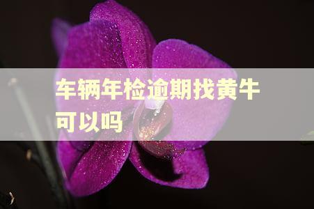 车辆年检逾期找黄牛可以吗