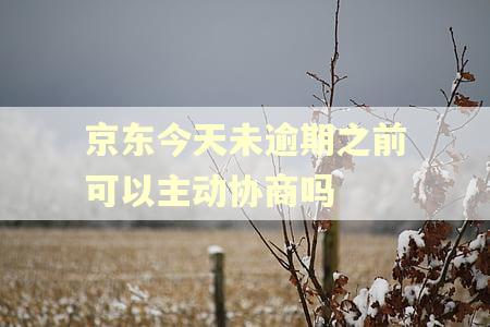 京东今天未逾期之前可以主动协商吗 京东今天未逾期之前可以主动协商吗