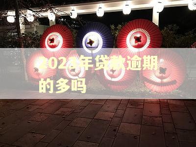 2023年贷款逾期的多吗