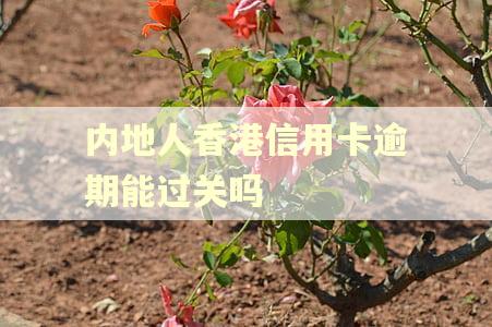 内地人香港信用卡逾期能过关吗