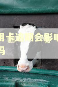 信用卡逾期会影响公户吗