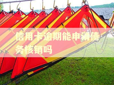 信用卡逾期能申请债务核销吗