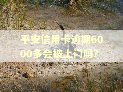 平安信用卡逾期6000多会被上门吗?